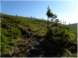 St. Vinzenz (St. Vinzenz) - Großer Speikkogel (Golica / Koralpe)